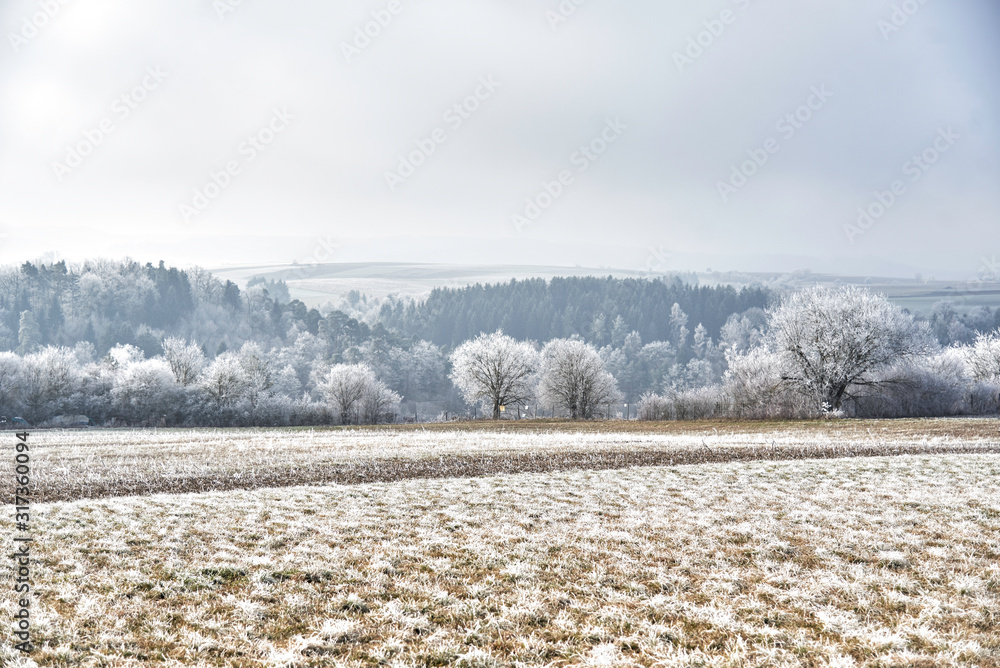 Hügelige Winterlandschaft Feld und Waldrand Hügelige Winterlandschaft Feld und Waldrand