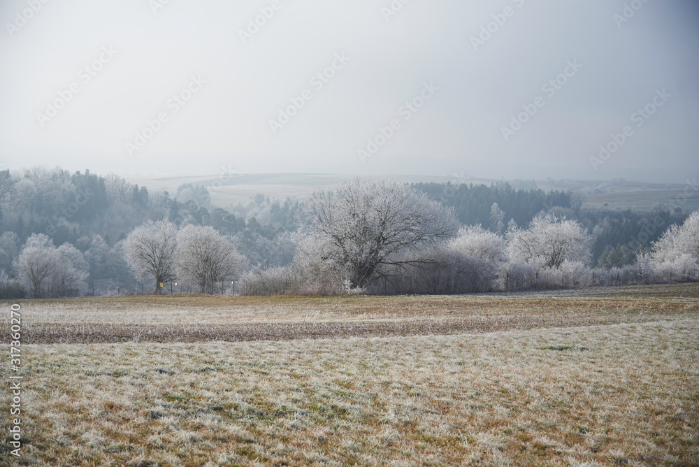 Hügelige Winterlandschaft Feld und Waldrand Hügelige Winterlandschaft Feld und Waldrand