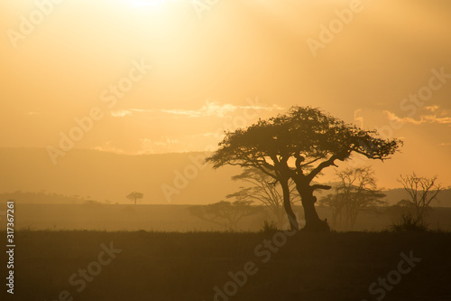 tramonto in africa photo