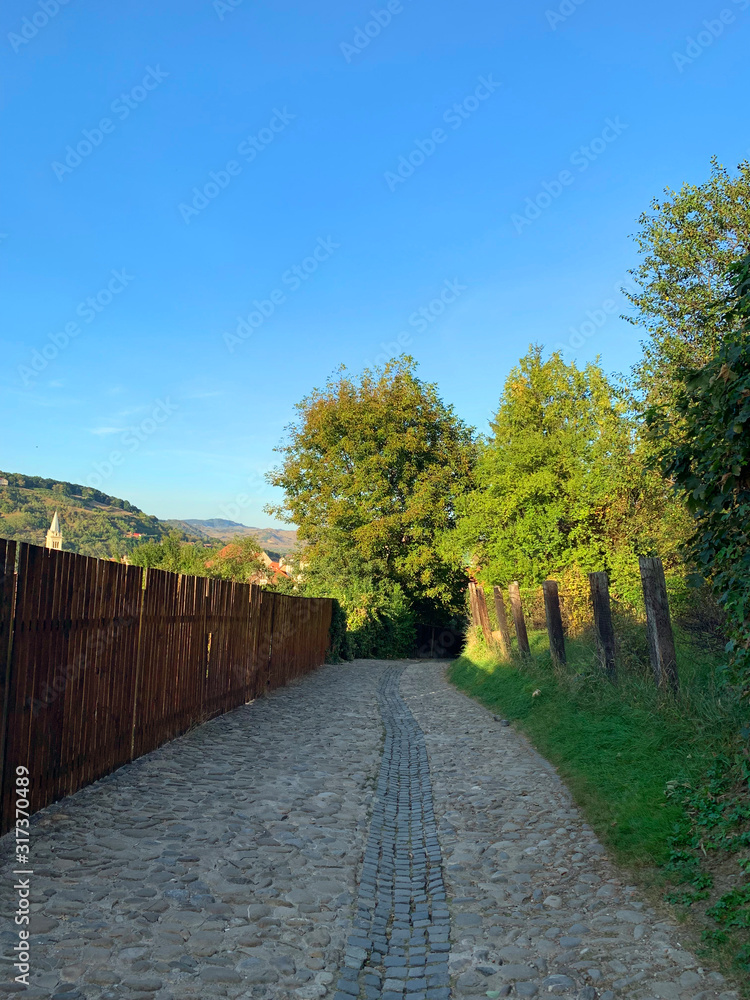 Brick road on countryside