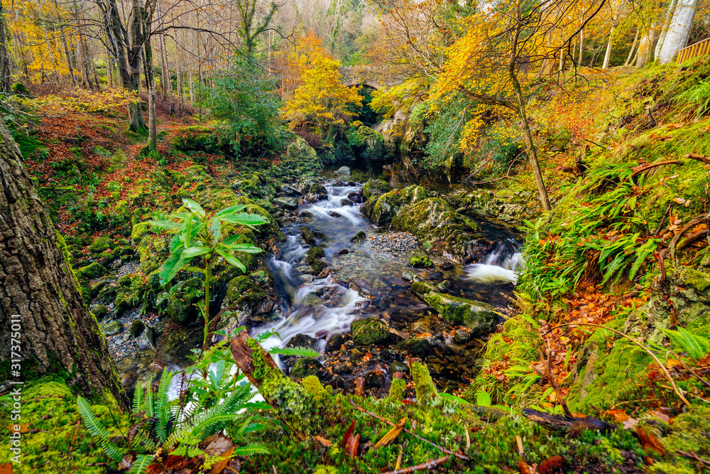 Cascades and waterfalls on mountain stream or creek, between mossy rocks in Tollymore Forest Park in autumn, Newcastle, County Down, Northern Ireland