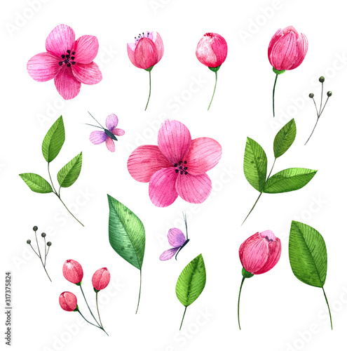 Hand drawn watercolor spring flowers isolated on white background. Hight resolution elements for tour design.