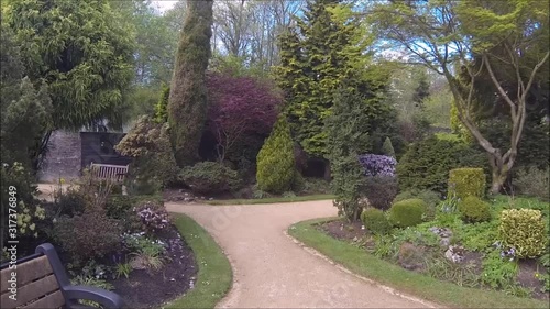 Beautiful conifer garden in Spring