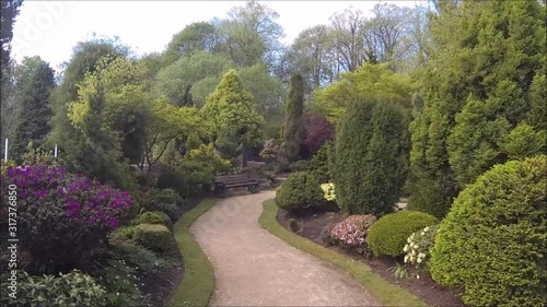 A beautiful conifer garden in Spring time