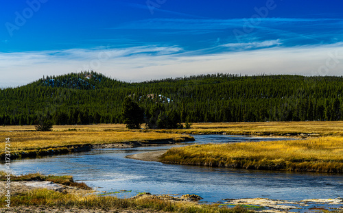 GIBBON MEADOWS