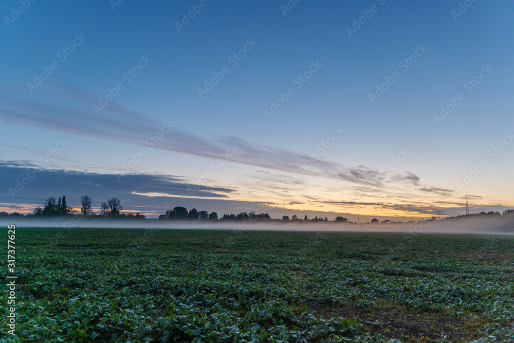 Beautiful dramatic twilight with gold , orange and blue cloud and sky over misty atmosphere of foggy over agricultural field on countryside in Germany during sunset time. Beautiful dramatic twilight with gold , orange and blue cloud and sky over misty atmosphere of foggy over agricultural field on countryside in Germany during sunset time.