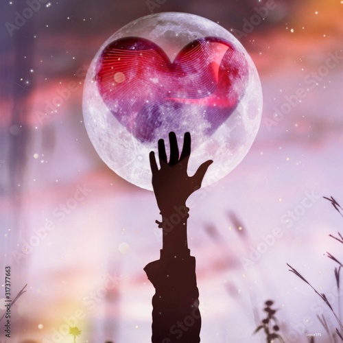 And if your heart was in the moon, you would be trying to reach it