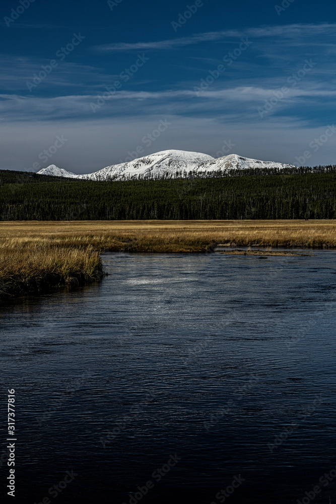 Fototapeta premium GIBBON MEADOWS