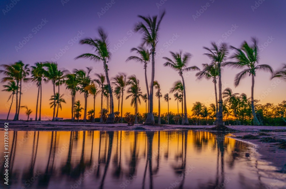 sunset palm beach tropical tree sky sea landscape sunrise nature ocean summer pool sun tree blue yellow dusk coconut vacation miami florida