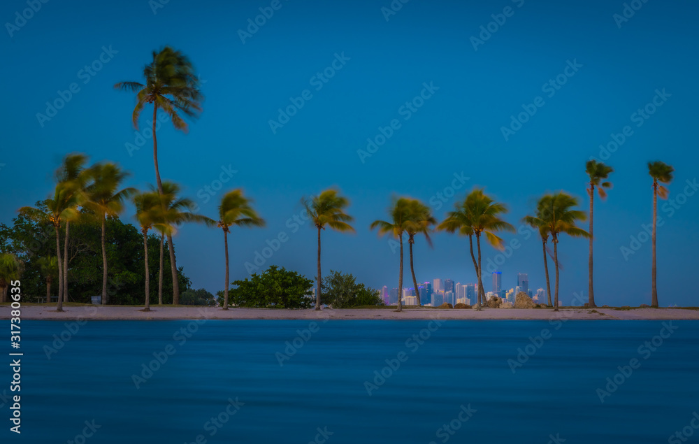 beach palm tropical sea water pool tree island sky ocean miami blue eden traveling summer vacation hotel coconut
