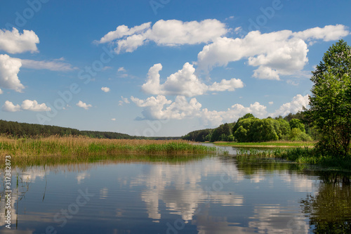 Fototapeta Naklejka Na Ścianę i Meble -  Summer lake landscape, nature background.