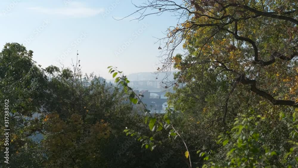 The city among the trees. Panorama of the old city behind the autumn trees. The city among the trees. Panorama of the old city behind the autumn trees.