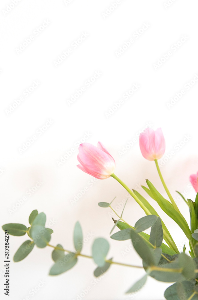 チューリップとユーカリ　シンプル　白背景　ピンク　春　植物　季節　素材　背景素材　余白　ホワイトスペース　室内　屋内　部屋　白い壁　余白　空白　文字スペース　コピースペース　グラフィック素材　縦