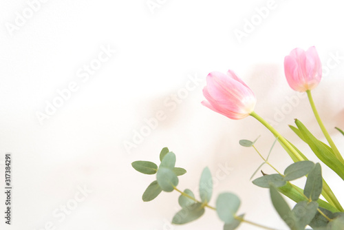 チューリップとユーカリ　シンプル背景　ピンク　チューリップ　ホワイトスペース　余白　コピースペース　ピンク系の花とグリーン　ユーカリ　植物　部屋　白壁　白背景　室内　屋内　自然光　余白　ホワイトスペース　コピースペース　文字スペース　縦　背景素材　背景　グラフィック素材　　白　緑　ピンク　春　季節