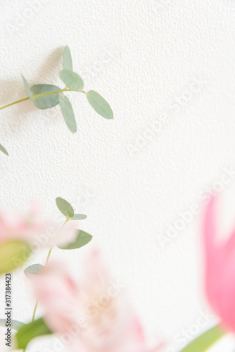 ピンクの花のボケ　ユーカリ　植物　観葉植物　背景　素材　グラフィック背景　グラフィック背景　生花　春　ピンク　白　緑　部屋　白壁　白背景　余白　ホワイトスペース　文字スペース　コピースペース　