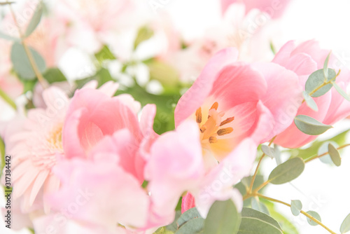 ピンクの花　アップ　クローズアップ　ピンク系の花とグリーン　素材　室内　屋内　自然光　ホワイトスペース　コピースペース　文字スペース　横　背景素材　背景　グラフィック素材　　白　緑　ピンク　春　季節　スイートピー