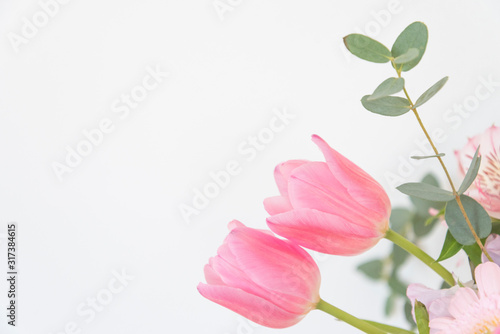 チューリップとユーカリの葉　背景素材　白背景　ピンク　余白　文字スペース　コピースペース　ホワイトスペース　グラフィック素材　背景素材　背景　花　写真　横