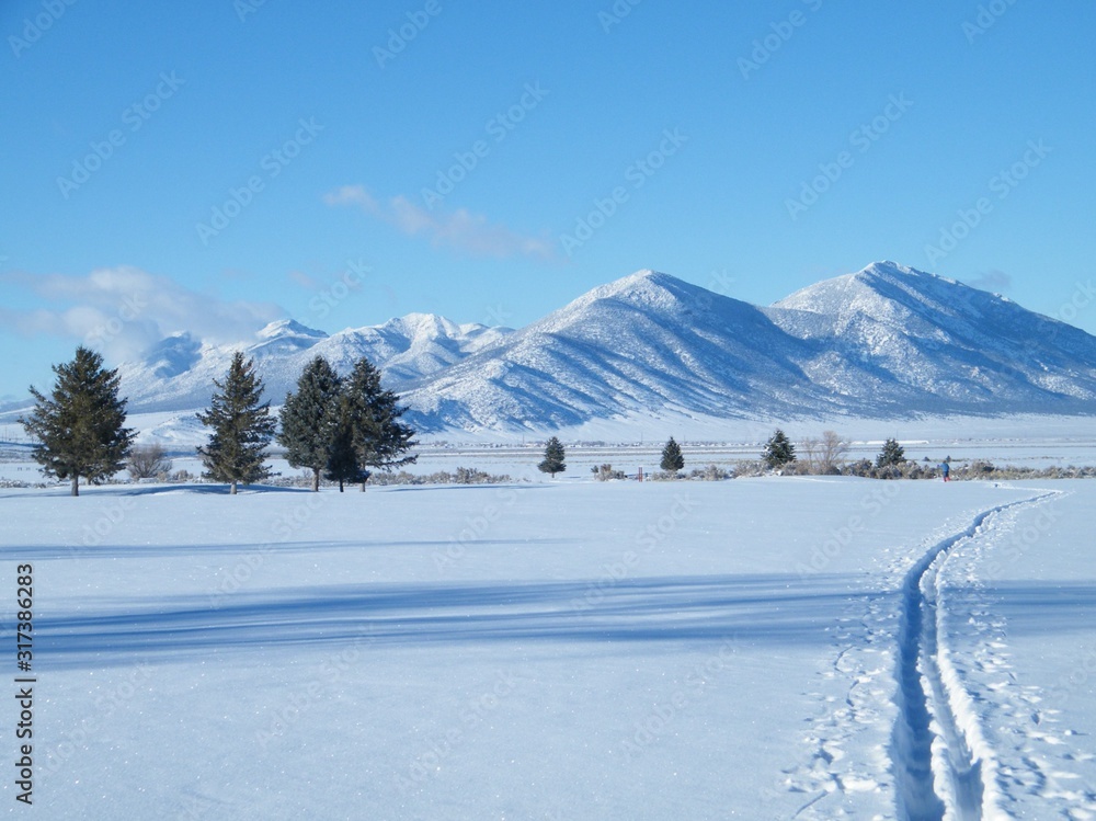 Fototapeta premium Cross Country Skiing at Golf Course on a Sunny Day in Winter Snow