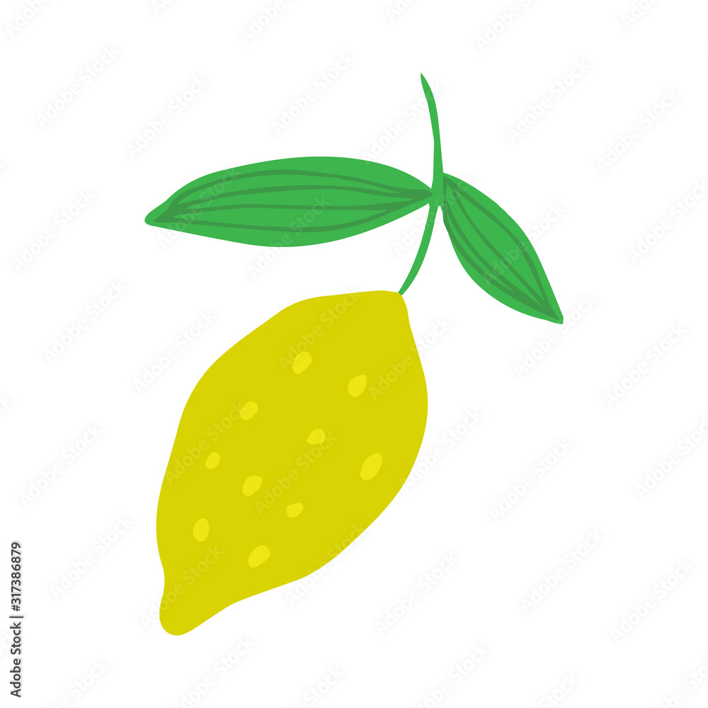 Fototapeta Lemon in doodle style isolated on white background. Summer fruit vector illustration.