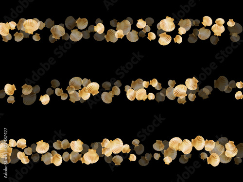 Gold seashells isolated, pearl bivalved mollusks