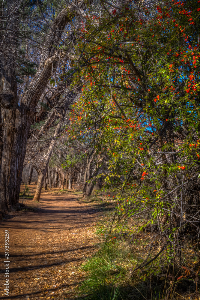 Naklejka premium Fall for Sedona