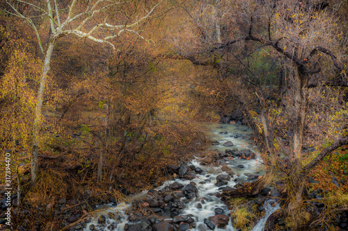 Obraz na płótnie Fall for Sedona w salonie