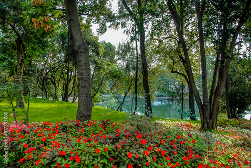 Istanbul, Turkey, 8 September 2006: Trees, grass, flowers, lake, Yildiz Park, Besiktas.