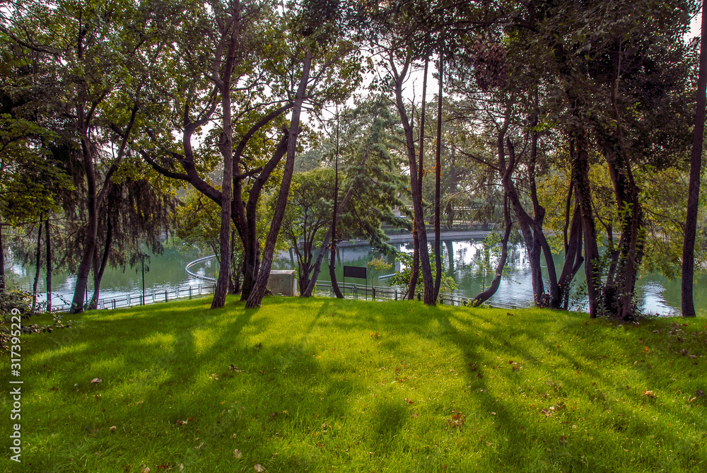 Istanbul, Turkey, 8 September 2006: Trees, grass, lake, Yildiz Park, Besiktas.