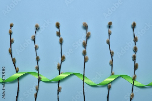 Fotografie The verve sprigs are laid vertically at the bottom and decorated with green satin ribbon