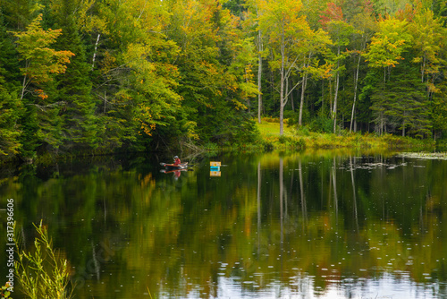 lake in forest