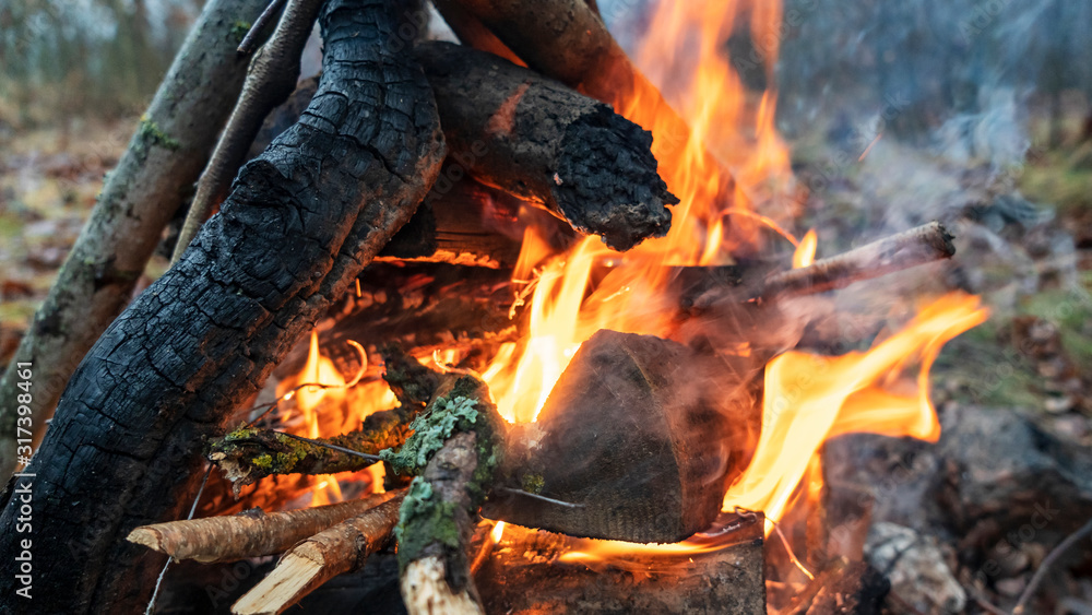 Bonfire. Orange flame of a fire. Burning birch tree in the fireplace. . Bonfire background. Bonfire. Orange flame of a fire. Burning birch tree in the fireplace. . Bonfire background.