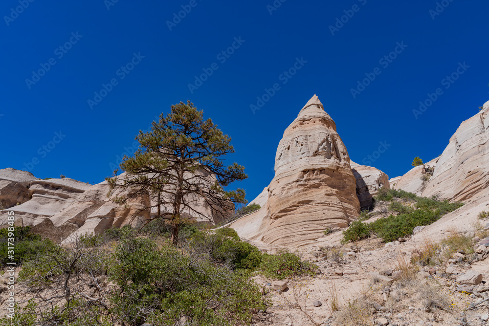 Fototapeta premium Sunny view of the famous Kasha Katuwe Tent Rocks National Monument