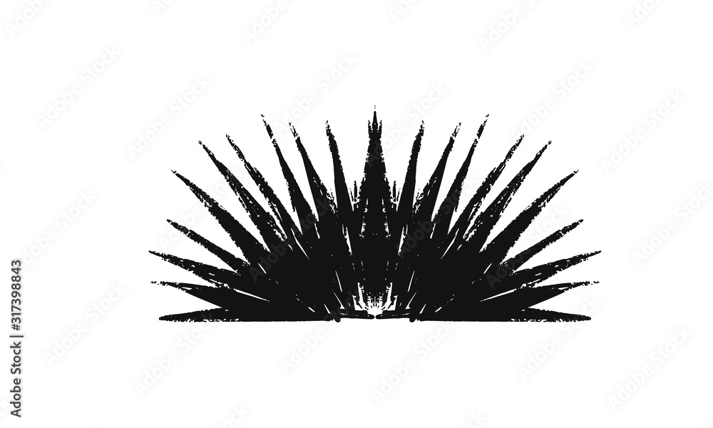 Obraz premium Agave texture