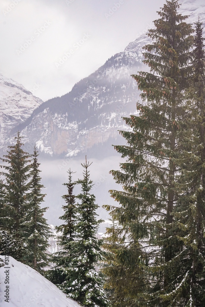 scenic mountain view of Grindelwald, switzerland in winter scenic mountain view of Grindelwald, switzerland in winter