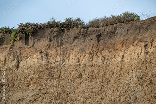 USA, California, San Mateo County, Half Moon Bay. An exposed cross section of Wastonville soil series  in the mollisol soil order. The massive light brown blocks in the C horizon layer are the result 