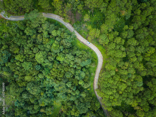 Fototapeta Naklejka Na Ścianę i Meble -  Aerial view of car on the road cut throug green forest in the highland mountains in Chiang Rai province, Thailand. The highland of Chiang Rai is a popular destination during the cold weather season.