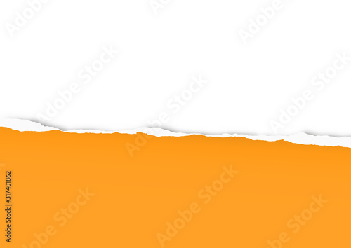 Torn paper on transparent background with space for text. Vector illustration.	