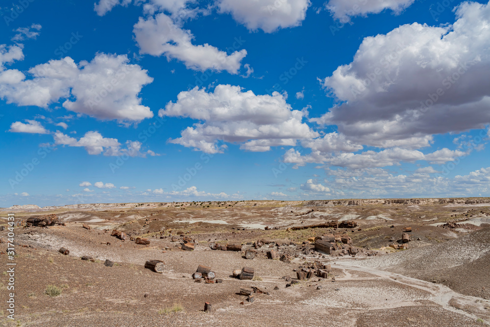 Beautiful landscape of Petrified Forest National Park