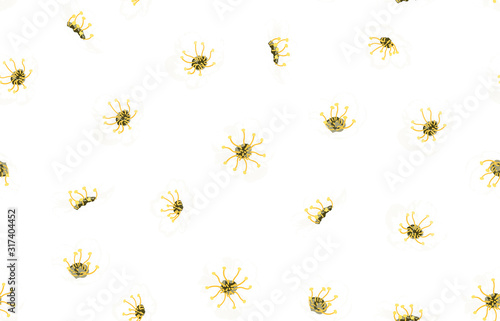 Photography Seamless dainty floral pattern.