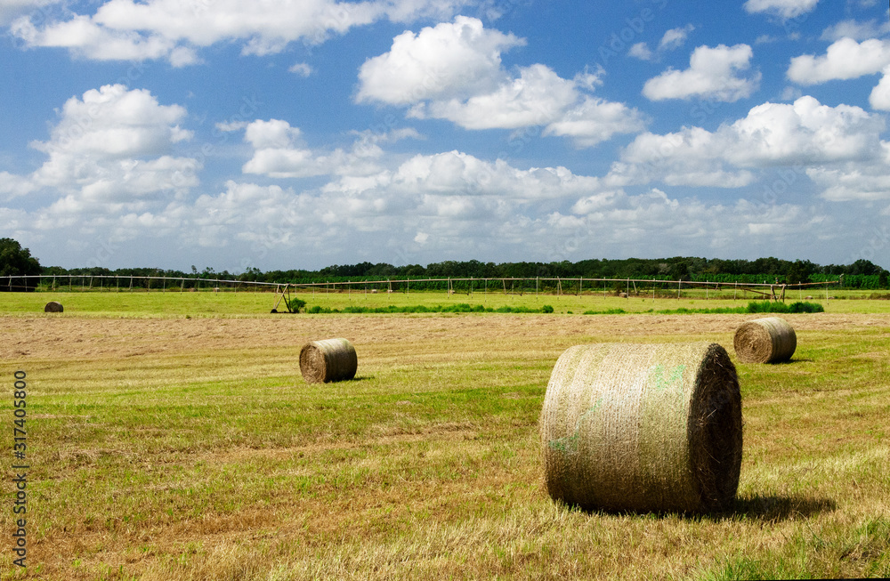 bales of hay in a field in florida