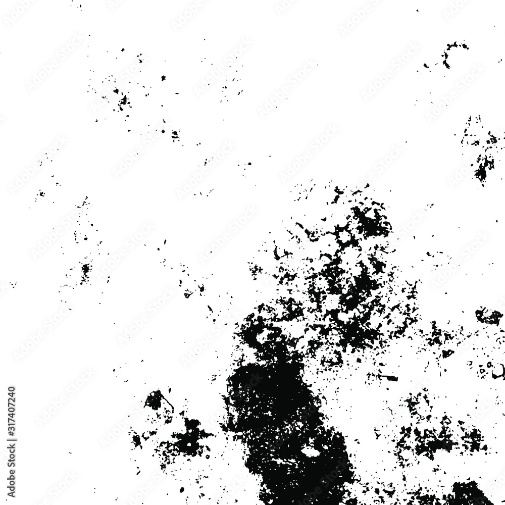 Fototapeta premium Vector grunge texture. Black and white abstract background. Eps10