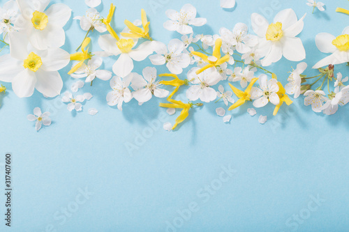 daffodils and cherry flowers on blue background background