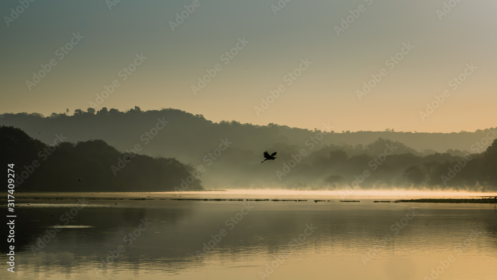 Scenic Golden hour Sunrise over the lake with reflection mist on the water, Landscape sunrise concept and bird in flight Scenic Golden hour Sunrise over the lake with reflection mist on the water, Landscape sunrise concept and bird in flight