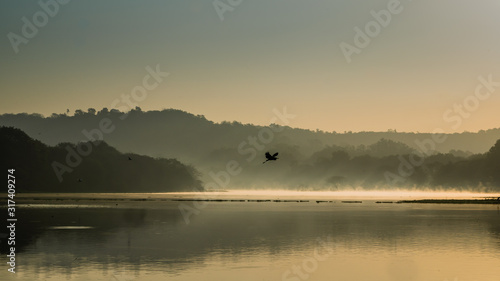 Scenic Golden hour Sunrise over the lake with reflection mist on the water  Landscape sunrise concept and bird in flight