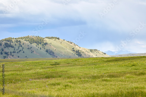 Green grass field at the base of mountain foot hills in Idaho, USA