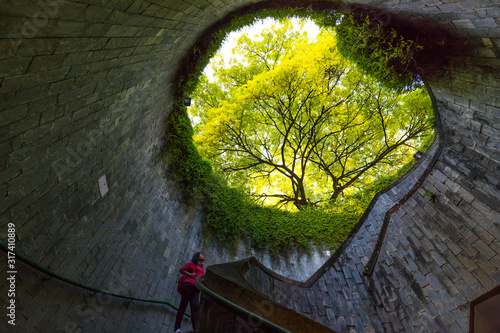 Tourist women  is look at  the giant tree at the entrance to the underground crossing at Fort Canning Park, Singapore