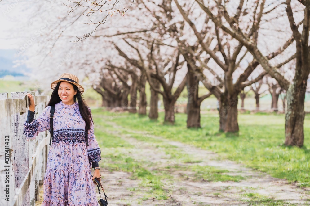 Asian beautiful young woman walking and take photo in green grass garden with sakura and cherry blooming tree landscape background.Concept of travel in spring season of japan. Asian beautiful young woman walking and take photo in green grass garden with sakura and cherry blooming tree landscape background.Concept of travel in spring season of japan.