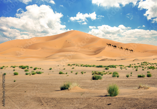 Camel caravan in the sahara desert