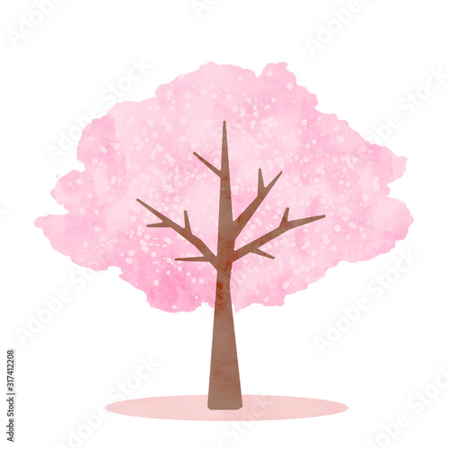 水彩調の美しい桜の木　春のイラスト　イラストレーション　挿絵