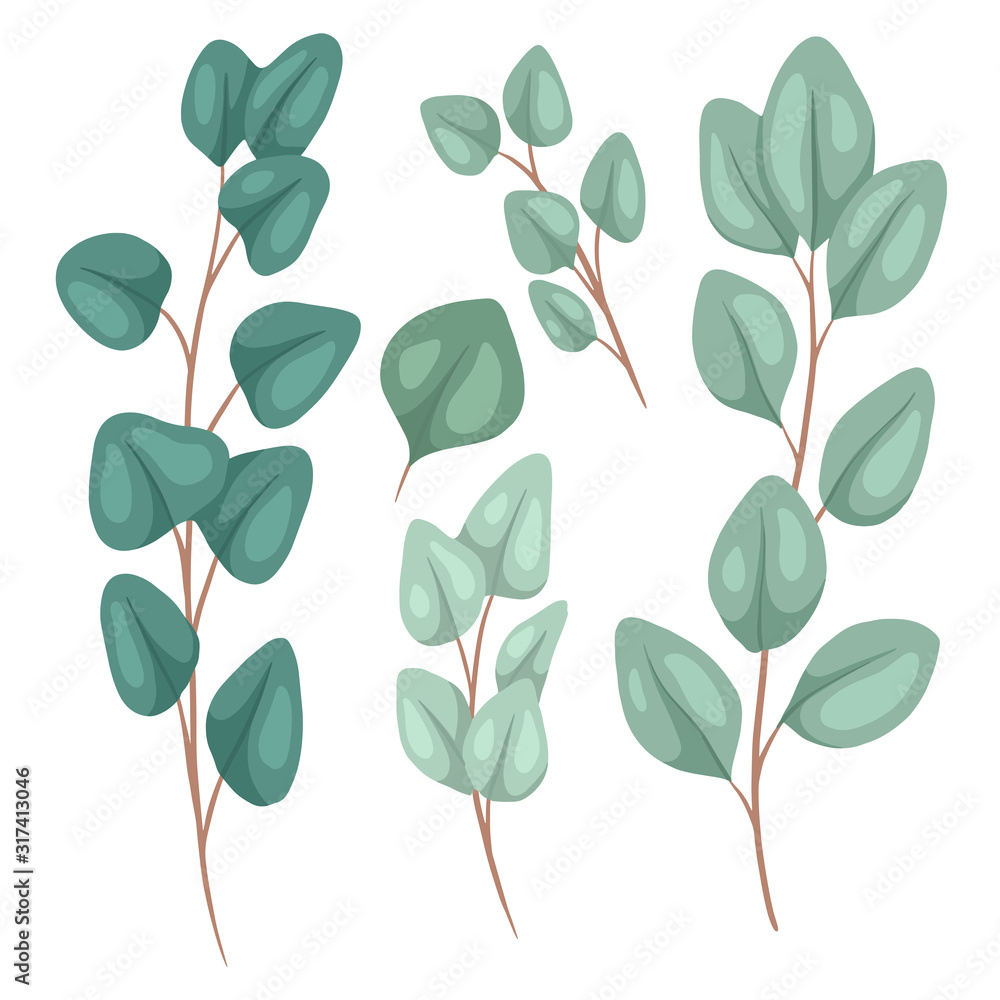 Botanical flat illustration of eucalyptus populus. Set of hand drawn eucalyptus branches with foliage and hatching. Vector color objects for articles, cards and your design. Botanical flat illustration of eucalyptus populus. Set of hand drawn eucalyptus branches with foliage and hatching. Vector color objects for articles, cards and your design.